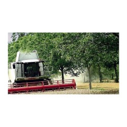 Agroforesterie, comprendre les enjeux pour les agriculteurs