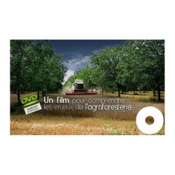 Agroforesterie, comprendre les enjeux pour les agriculteurs
