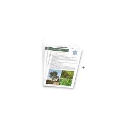 Guide technique “Collecte et mise en culture d’arbres et arbustes sauvages et locaux”
