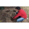 Video Plantation en agroforesterie-Preparr son chantier