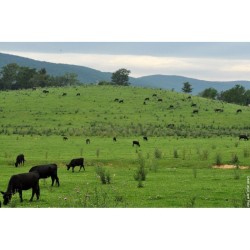 Livre You can farm de Joel Salatin, pionnier de l'agroécologie aux USA