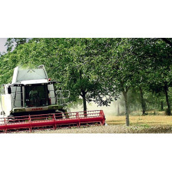 Agroforesterie, produire autrement