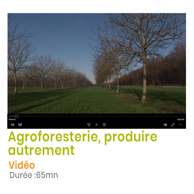 Agroforesterie, comprendre les enjeux pour les agriculteurs