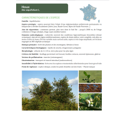 Guide technique “Collecte et mise en culture d’arbres et arbustes sauvages et locaux”