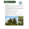 Guide technique “Collecte et mise en culture d’arbres et arbustes sauvages et locaux”