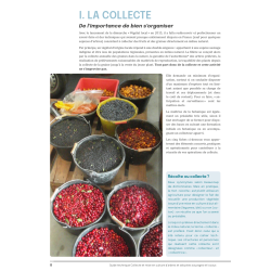 Guide technique “Collecte et mise en culture d’arbres et arbustes sauvages et locaux”